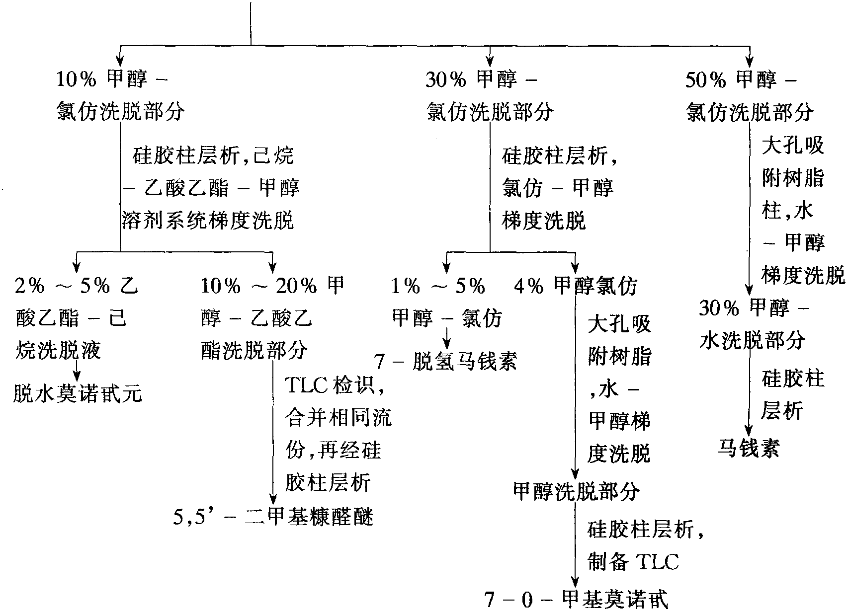 16 山茱萸